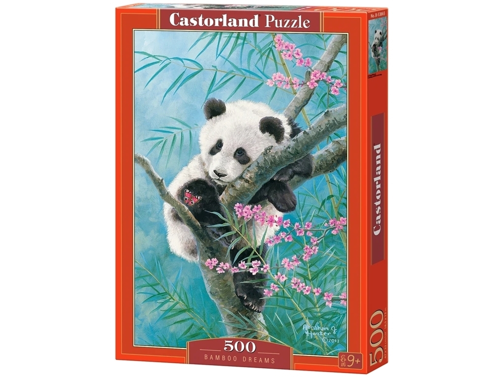 Bamboo Dreams